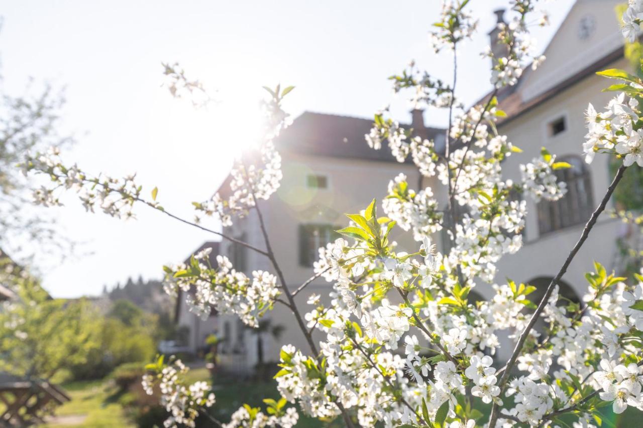 Schlossgut Gundersdorf Farm stay